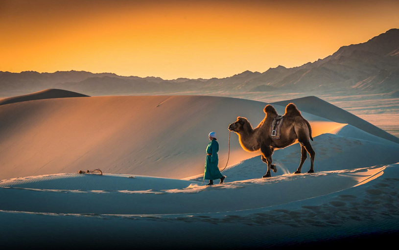 moğolistan gobi çölü moğolistan gobi çölü